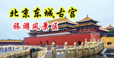 小骚逼日死你视频中国北京-东城古宫旅游风景区